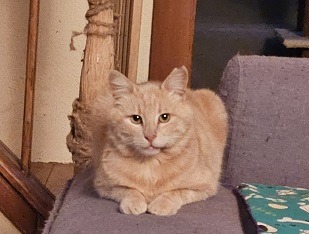 Special Squeaky