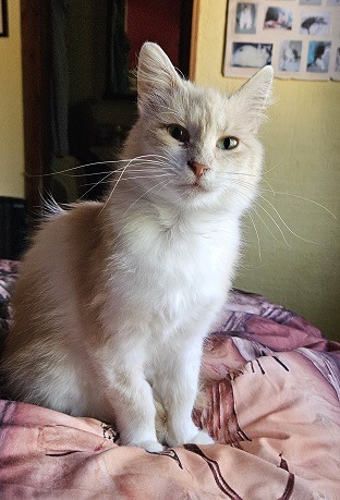 Pretty Priti