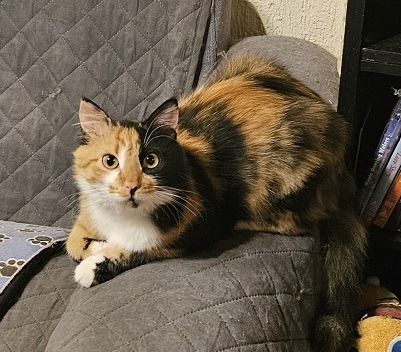 Precious Princesa
