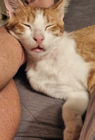 Blissful Burreto