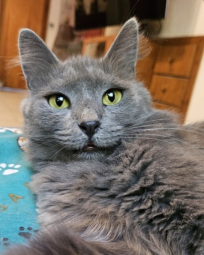 Glorious Glori