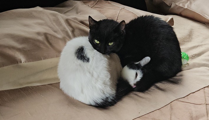 Radiant Rupert and Delightful Dora