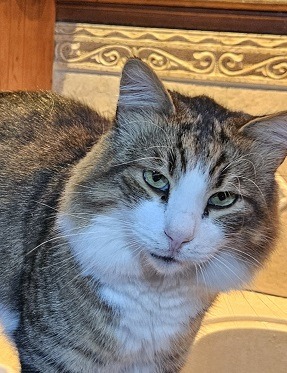 Marvelous Meatball