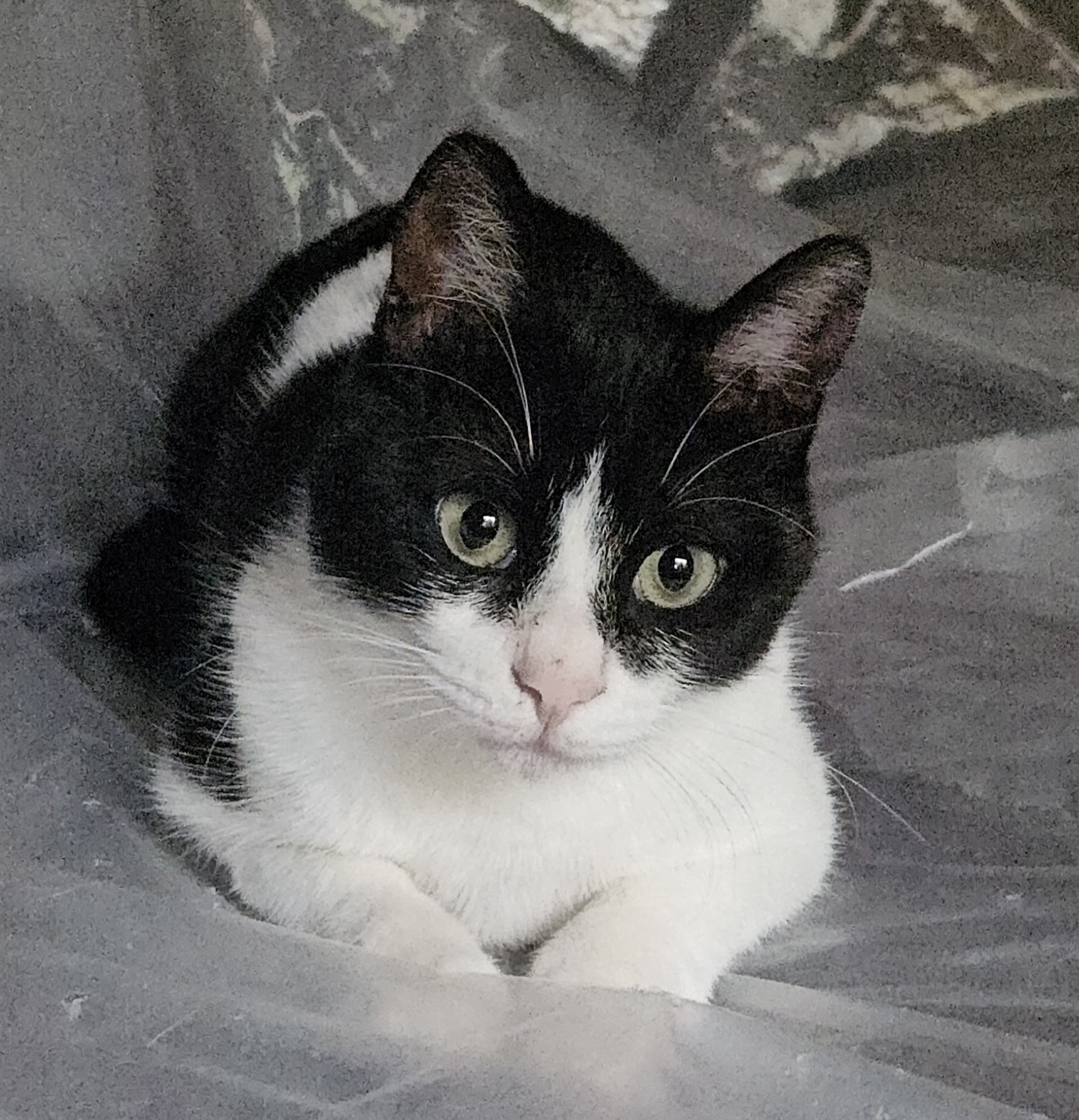 Treasured Tavli