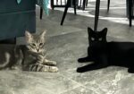 Max and Mouse
