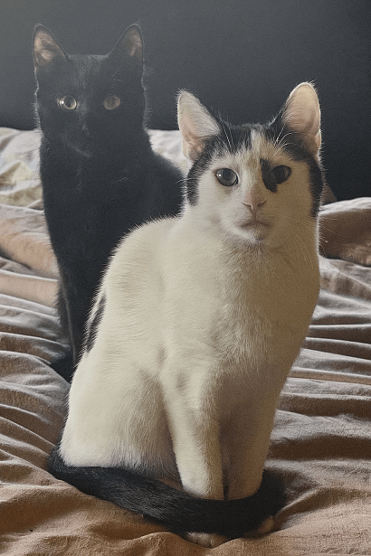 Radiant Rupert and Delightful Dora