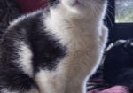 Treasured Tavli