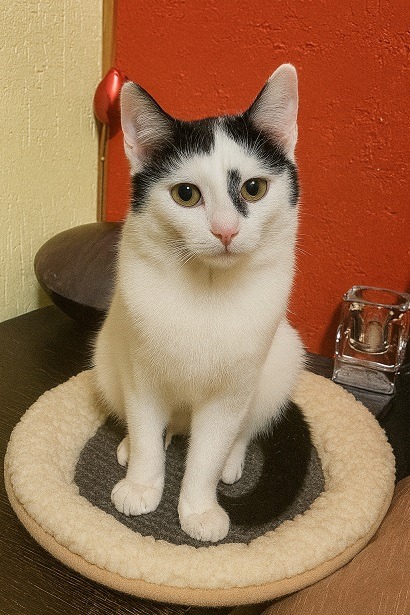 Radiant Rupert and Delightful Dora